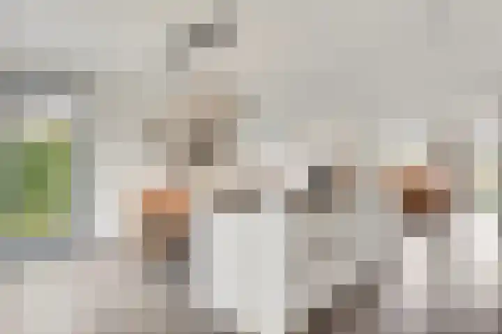 Steenuildreef 7 Sterksel thumbnail 21