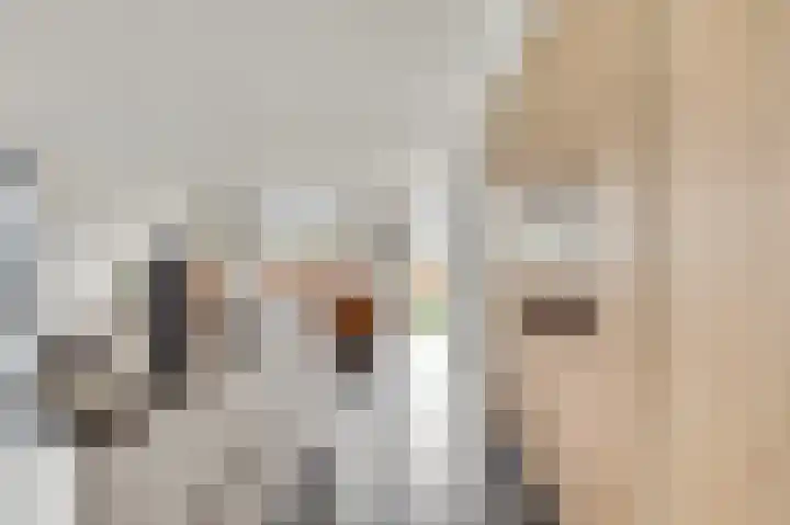 Steenuildreef 7 Sterksel thumbnail 22