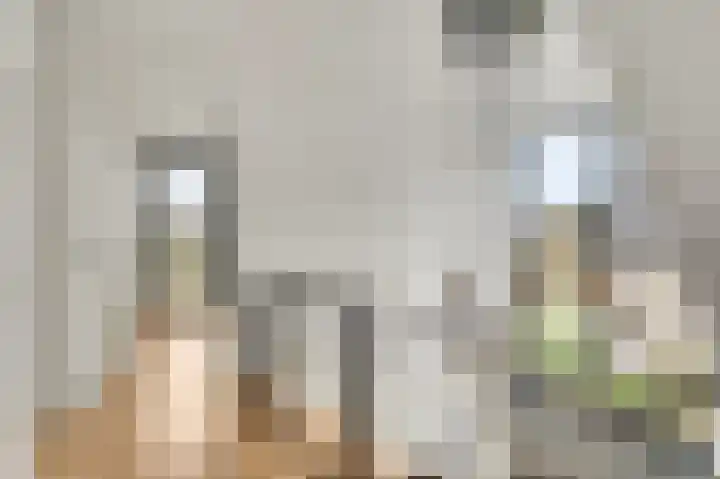 Steenuildreef 7 Sterksel thumbnail 26