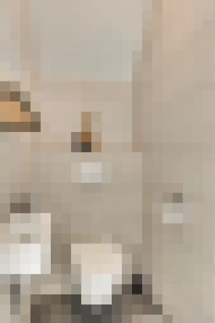 Steenuildreef 7 Sterksel thumbnail 27