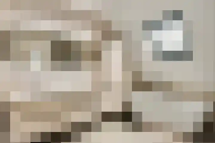 Steenuildreef 7 Sterksel thumbnail 28