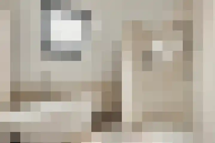 Steenuildreef 7 Sterksel thumbnail 29