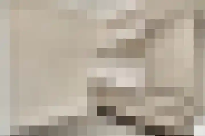 Steenuildreef 7 Sterksel thumbnail 30