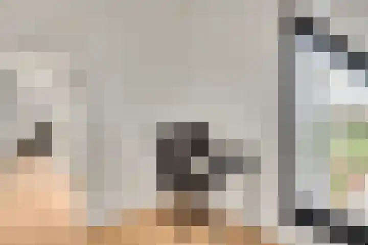 Steenuildreef 7 Sterksel thumbnail 39
