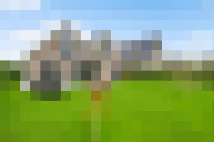 Steenuildreef 7 Sterksel thumbnail 41