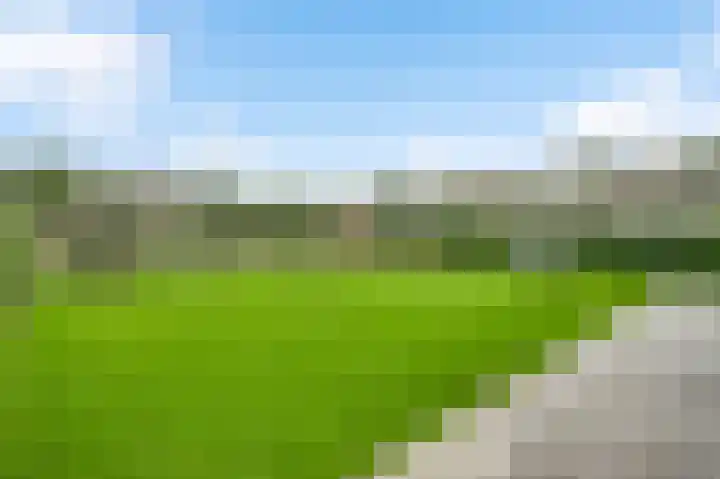 Steenuildreef 7 Sterksel thumbnail 42