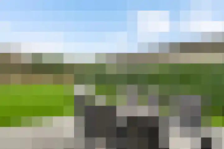 Steenuildreef 7 Sterksel thumbnail 44