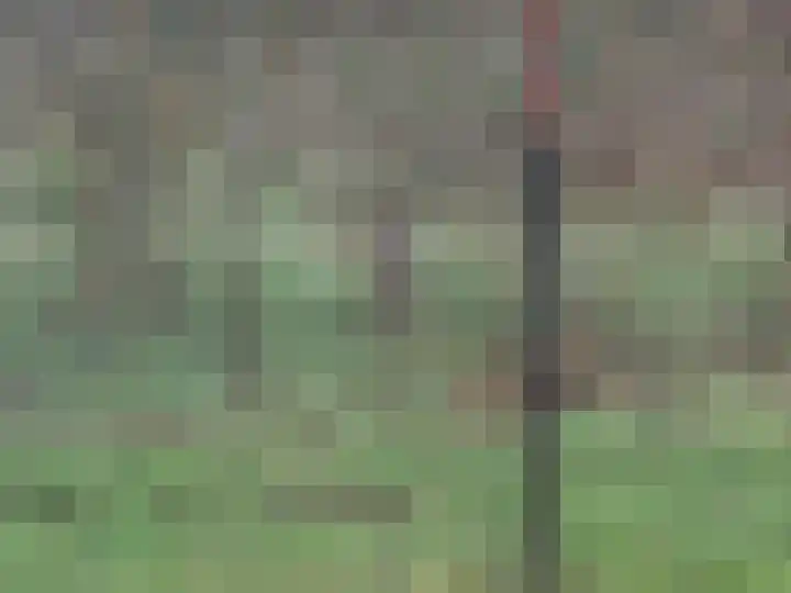 Steenuildreef 7 Sterksel thumbnail 45