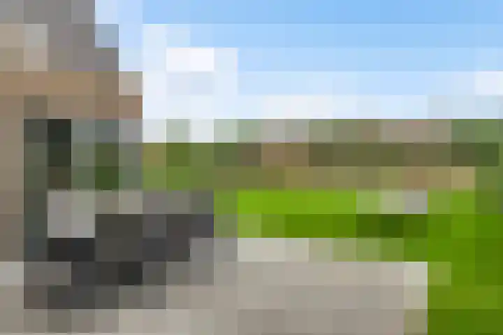 Steenuildreef 7 Sterksel thumbnail 6