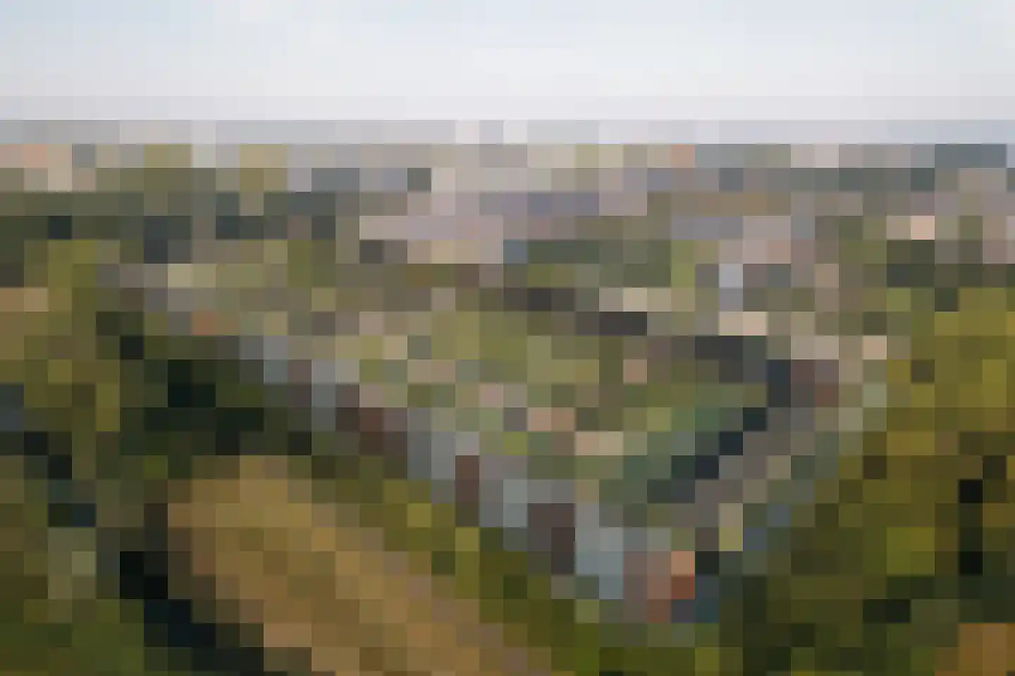 Steenuilhof 87 Vlaardingen thumbnail 4