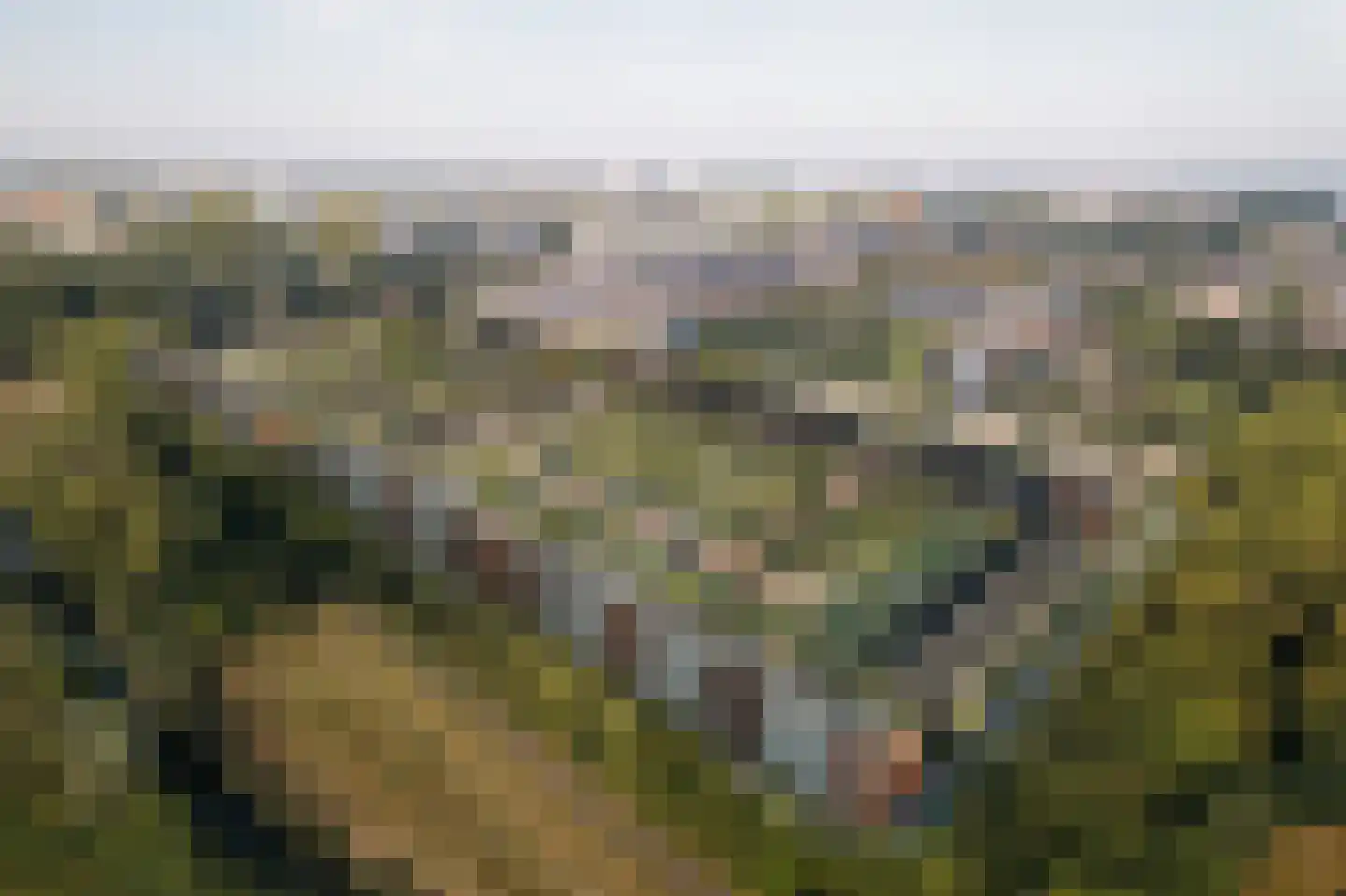 Steenuilhof 89 Vlaardingen thumbnail 5