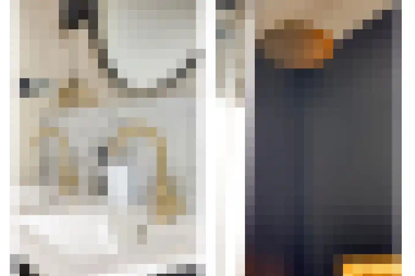 Steenuillaan 3 Den Haag thumbnail 11
