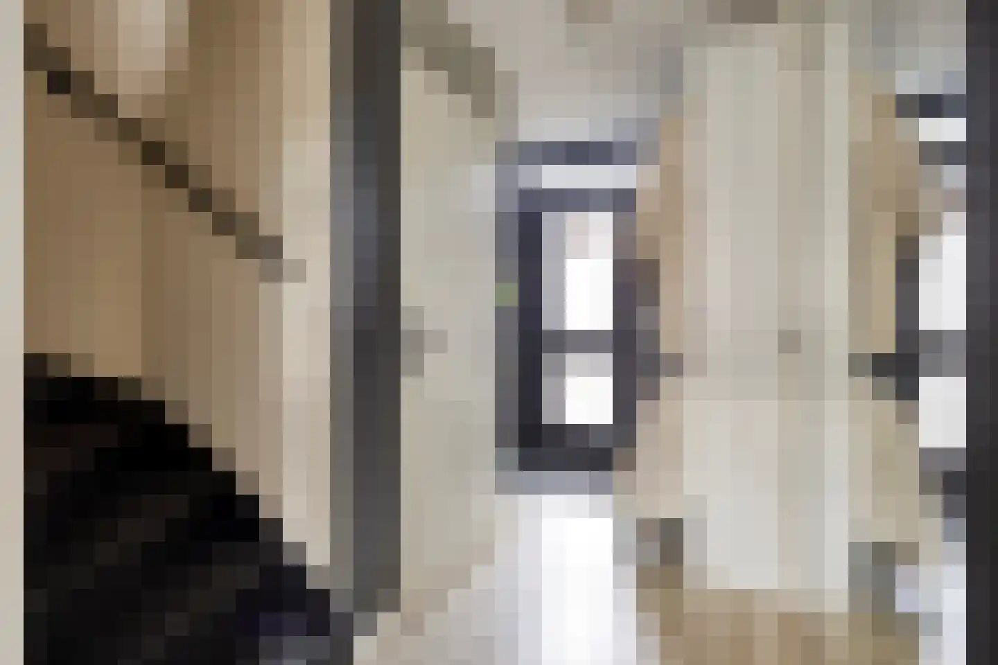 Steenuillaan 3 Den Haag thumbnail 12