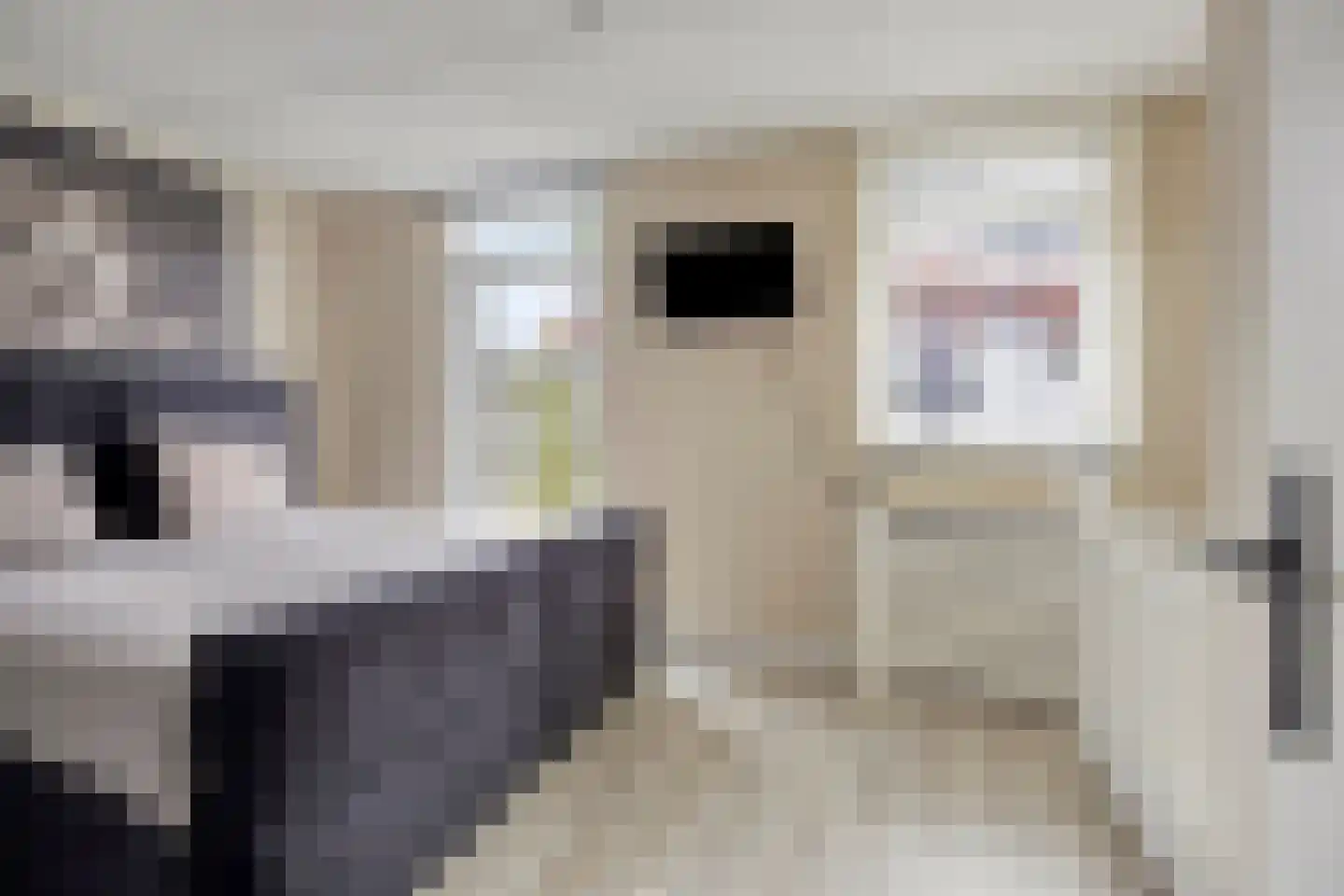 Steenuillaan 3 Den Haag thumbnail 15