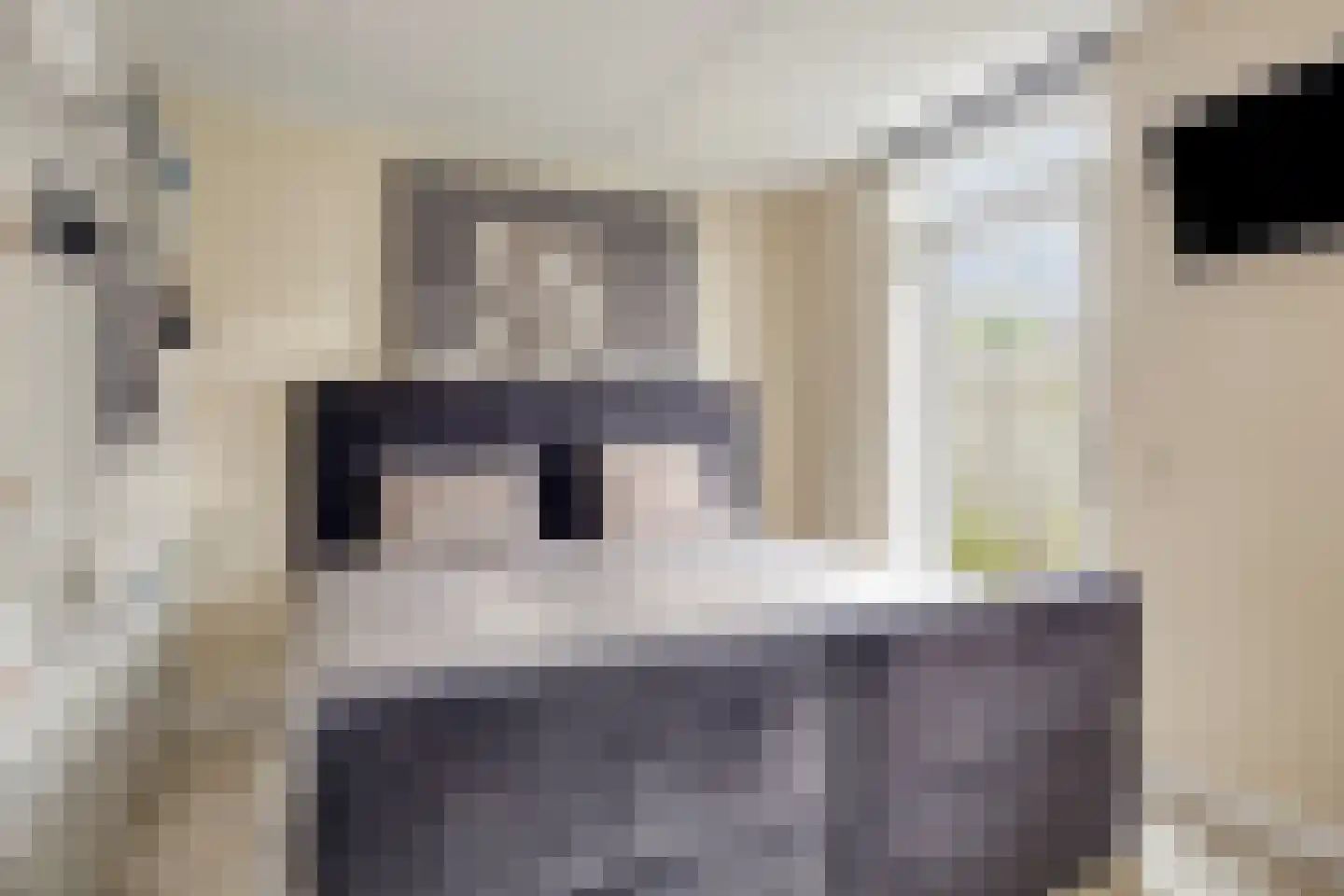 Steenuillaan 3 Den Haag thumbnail 16