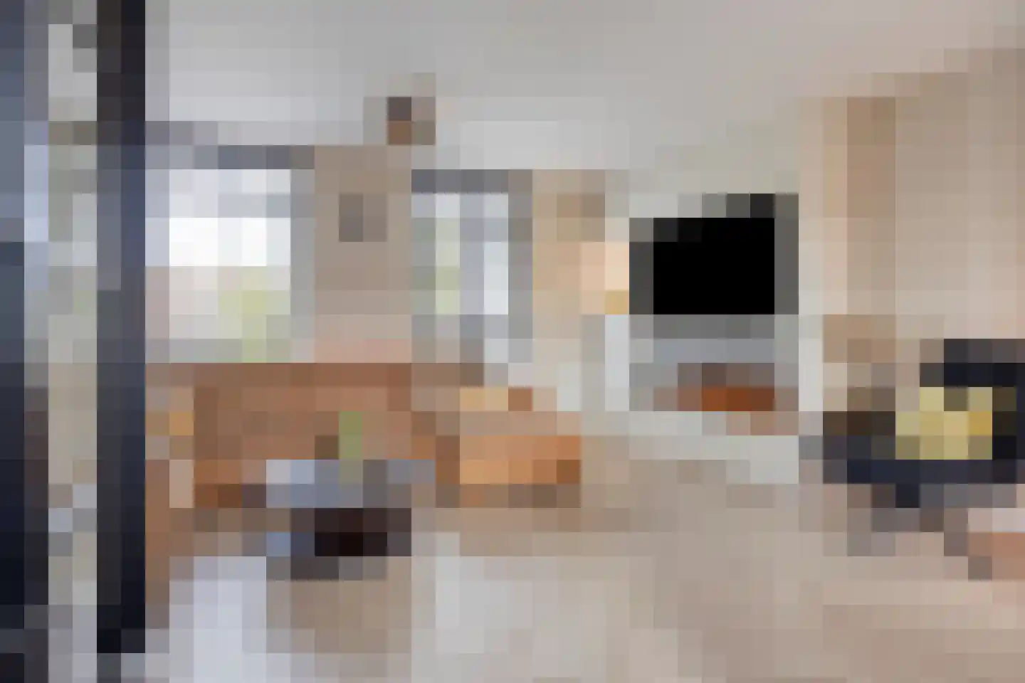 Steenuillaan 3 Den Haag thumbnail 21