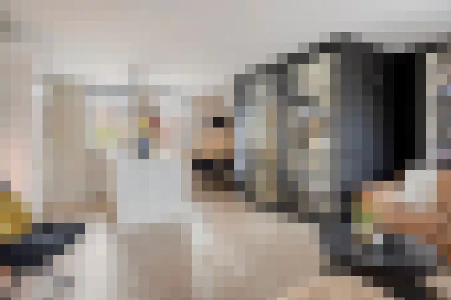 Steenuillaan 3 Den Haag thumbnail 24