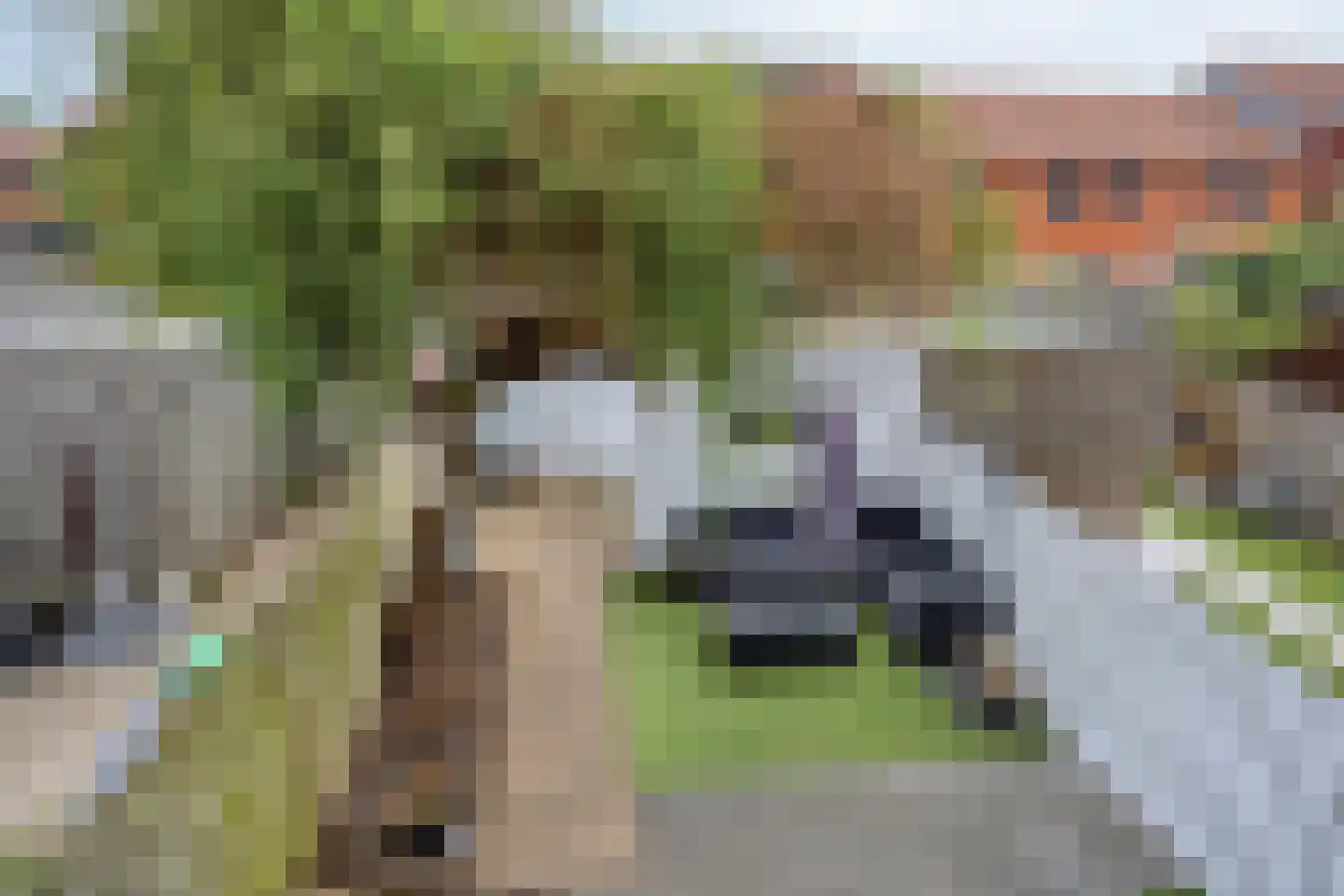 Steenuillaan 3 Den Haag thumbnail 54