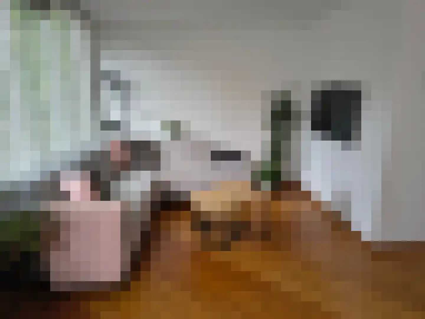 Steenuilstraat 13 Alkmaar thumbnail 6