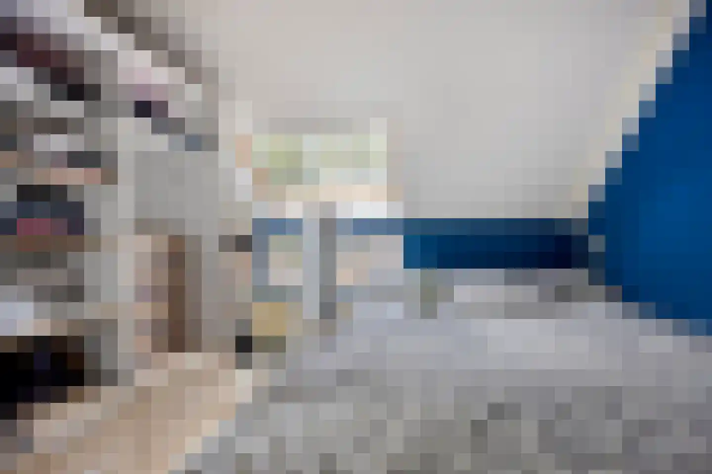 Steenuilstraat 18 Alkmaar thumbnail 12