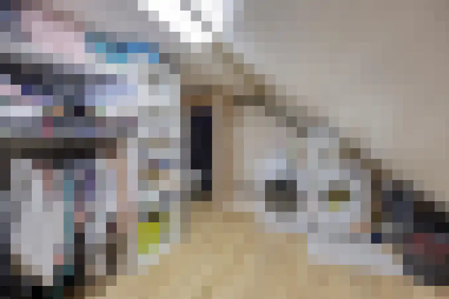 Steenuilstraat 18 Alkmaar thumbnail 19