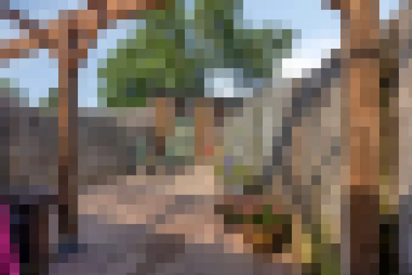 Steenuilstraat 18 Alkmaar thumbnail 25