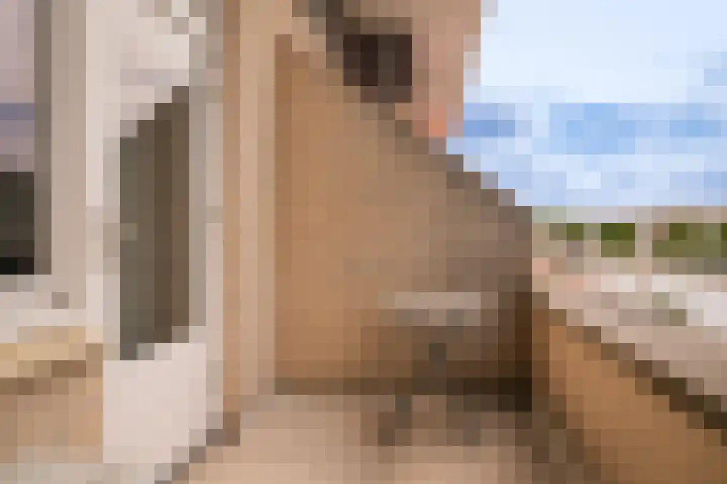 Steenvliet 6 Geldermalsen thumbnail 24