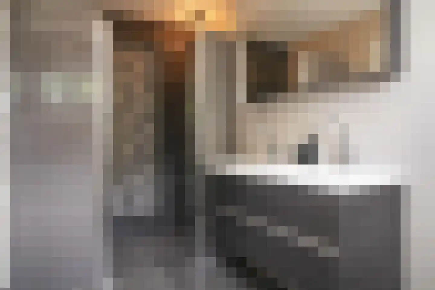 Steenvliet 6 Geldermalsen thumbnail 25