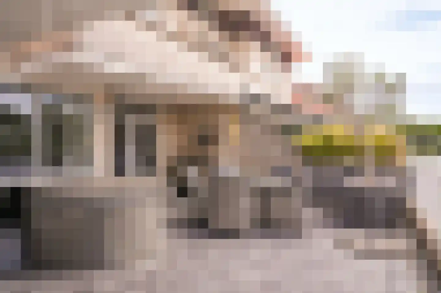 Steenvliet 6 Geldermalsen thumbnail 34