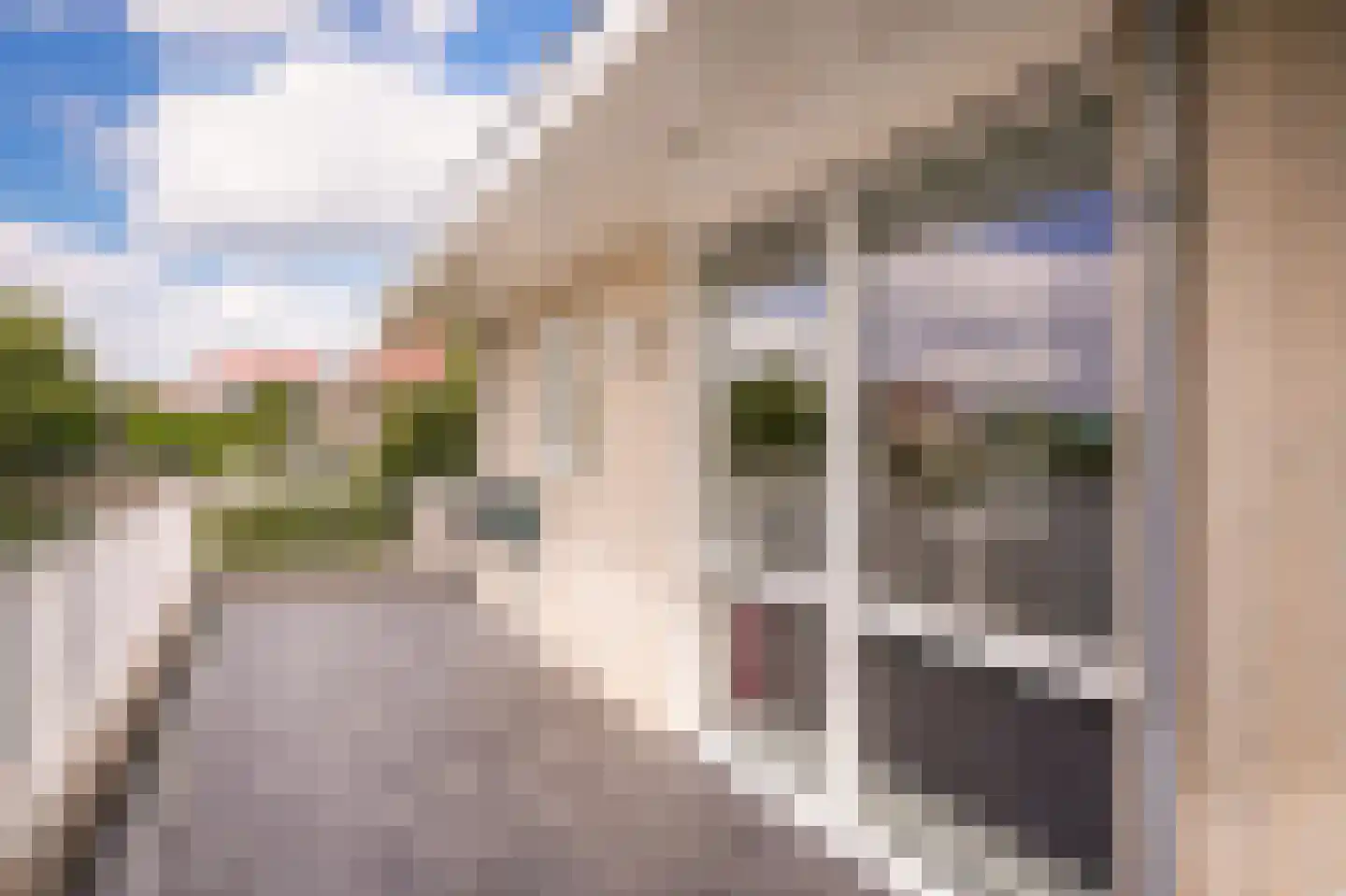 Steenvliet 6 Geldermalsen thumbnail 37