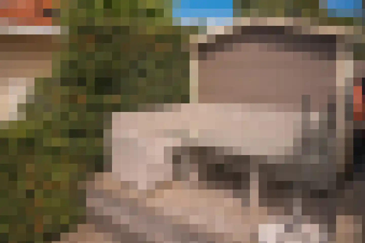 Steenvliet 6 Geldermalsen thumbnail 40