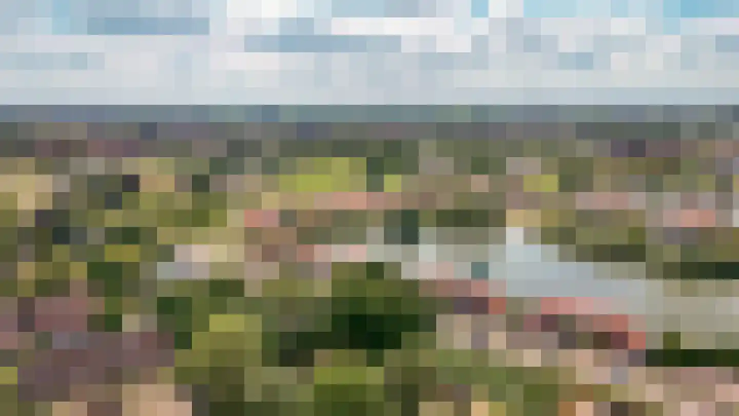 Steenvliet 6 Geldermalsen thumbnail 53