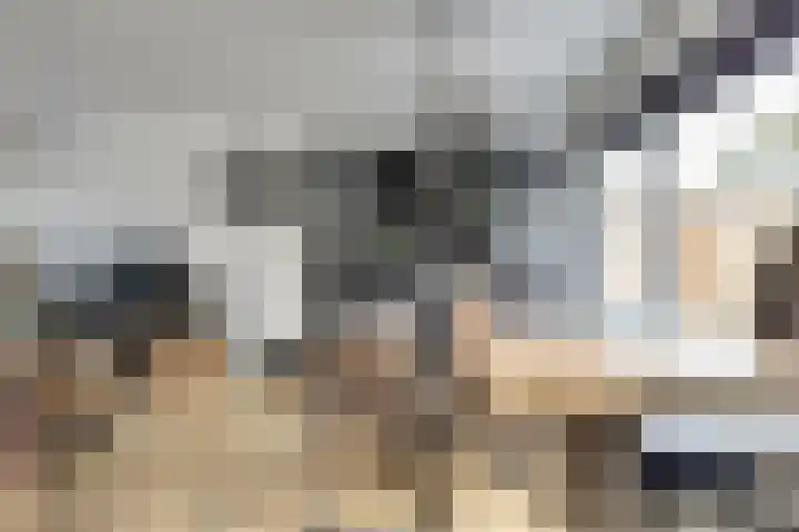 Steenvlietstraat 12 Rilland thumbnail 10