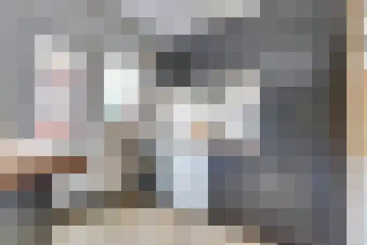 Steenvlietstraat 12 Rilland thumbnail 12
