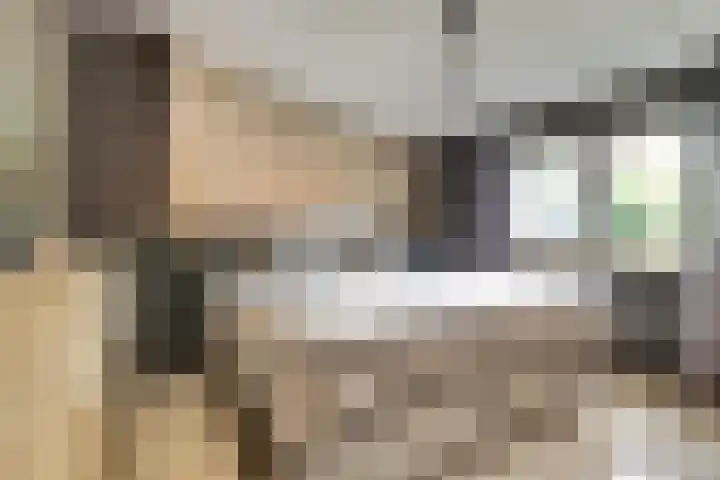 Steenvlietstraat 12 Rilland thumbnail 14