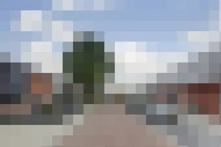 Steenvlietstraat 12 Rilland thumbnail 4