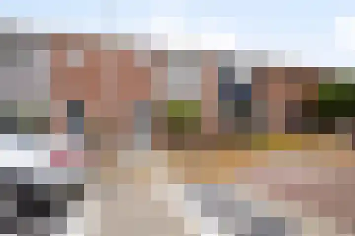 Steenvlietstraat 21 Rilland thumbnail 20