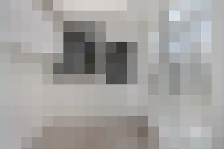 Steenvlietstraat 21 Rilland thumbnail 6