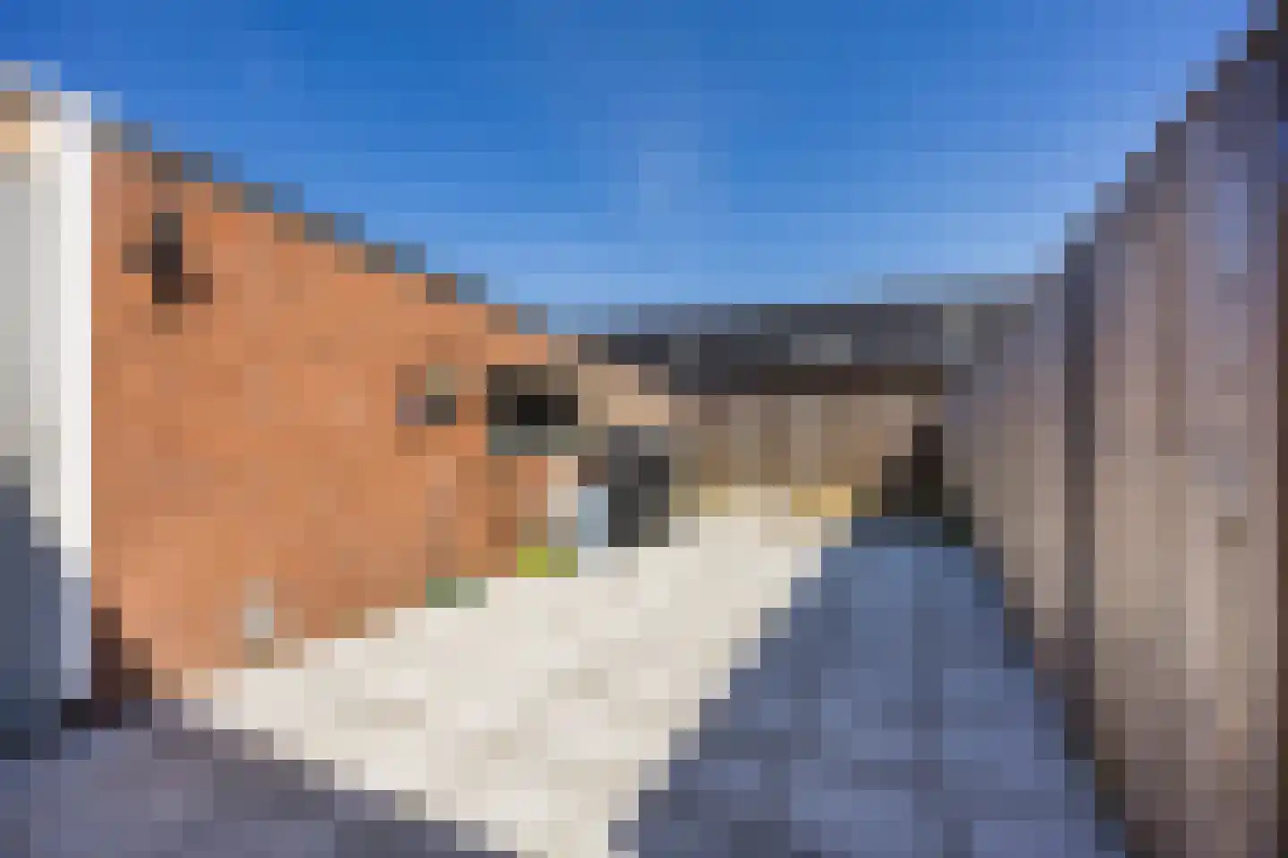 Steenvlietstraat 25 Rilland thumbnail 22