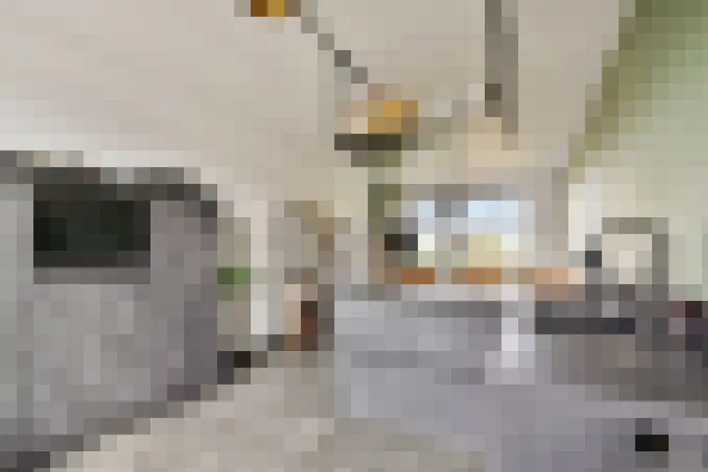 Steenvoorde 35 Rotterdam thumbnail 13