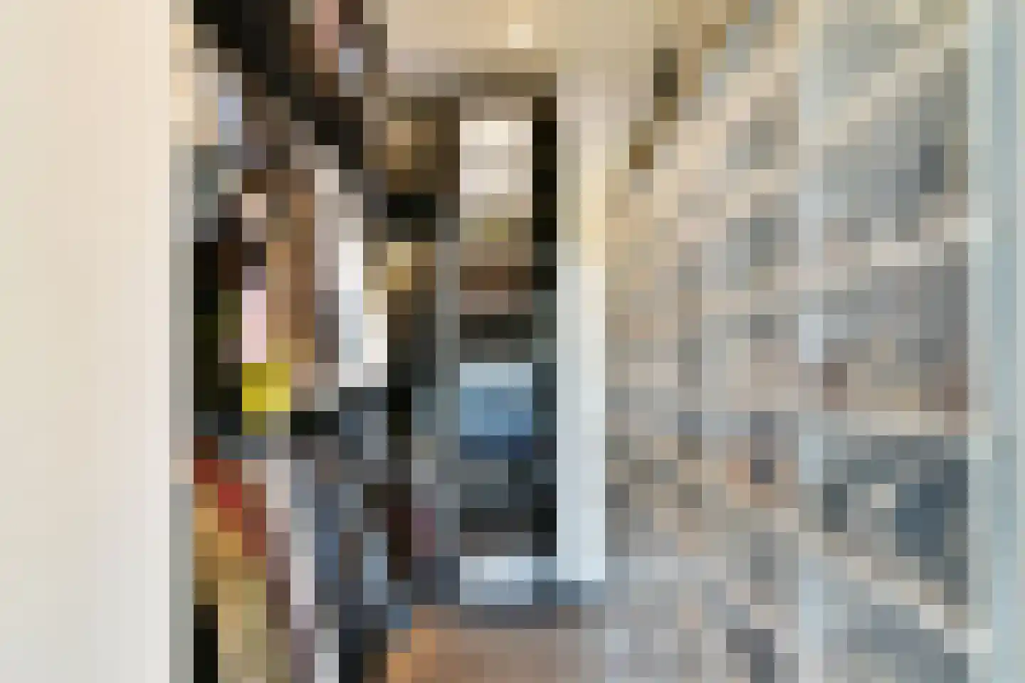 Steenvoorde 35 Rotterdam thumbnail 17