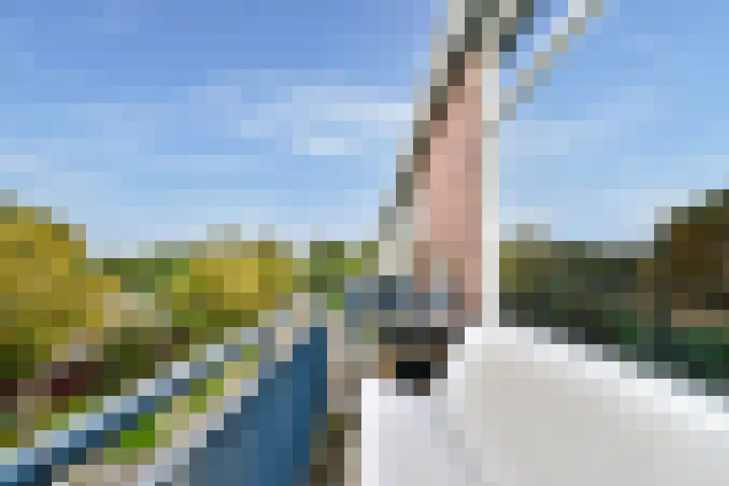Steenvoorde 35 Rotterdam thumbnail 25