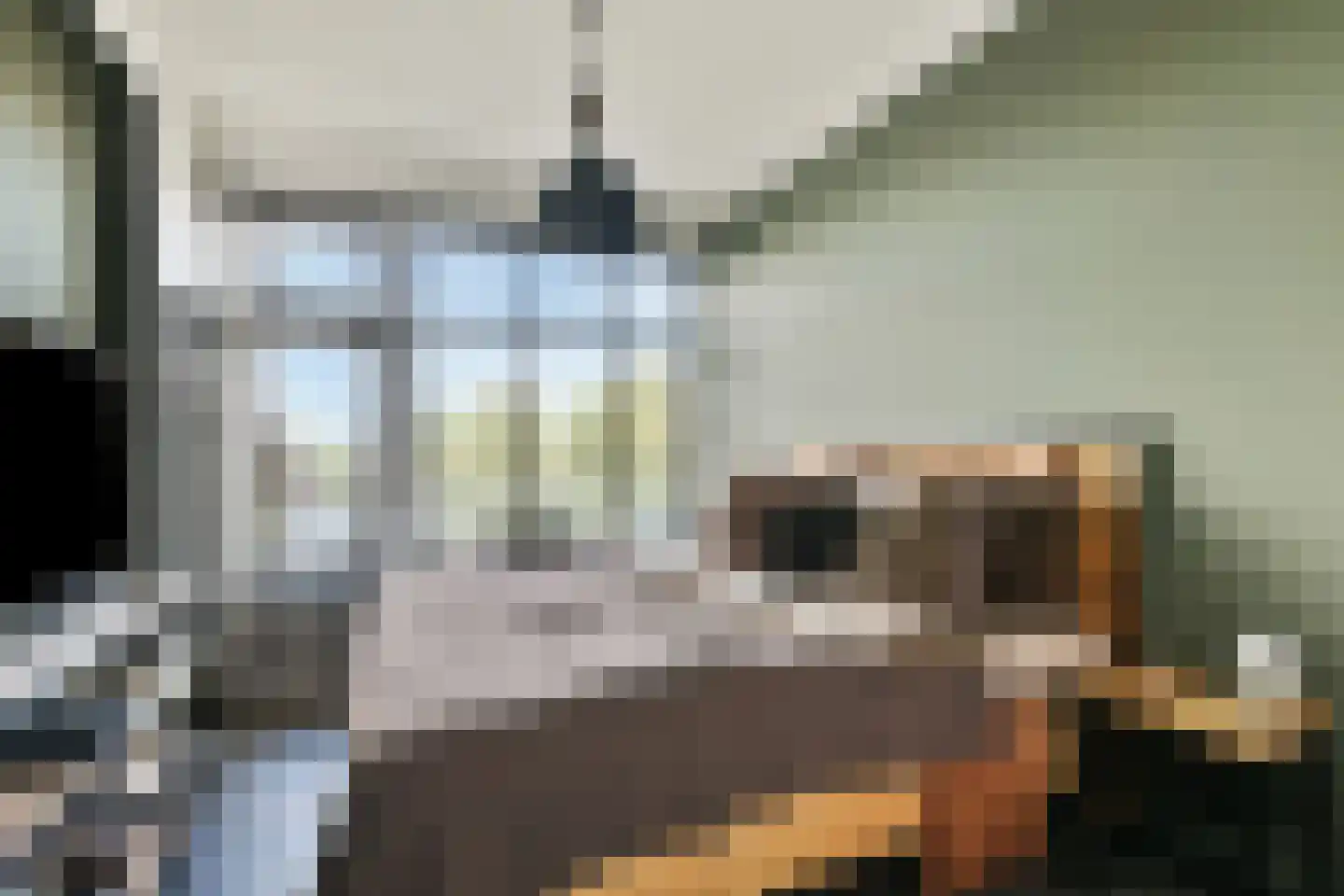 Steenvoorde 35 Rotterdam thumbnail 4