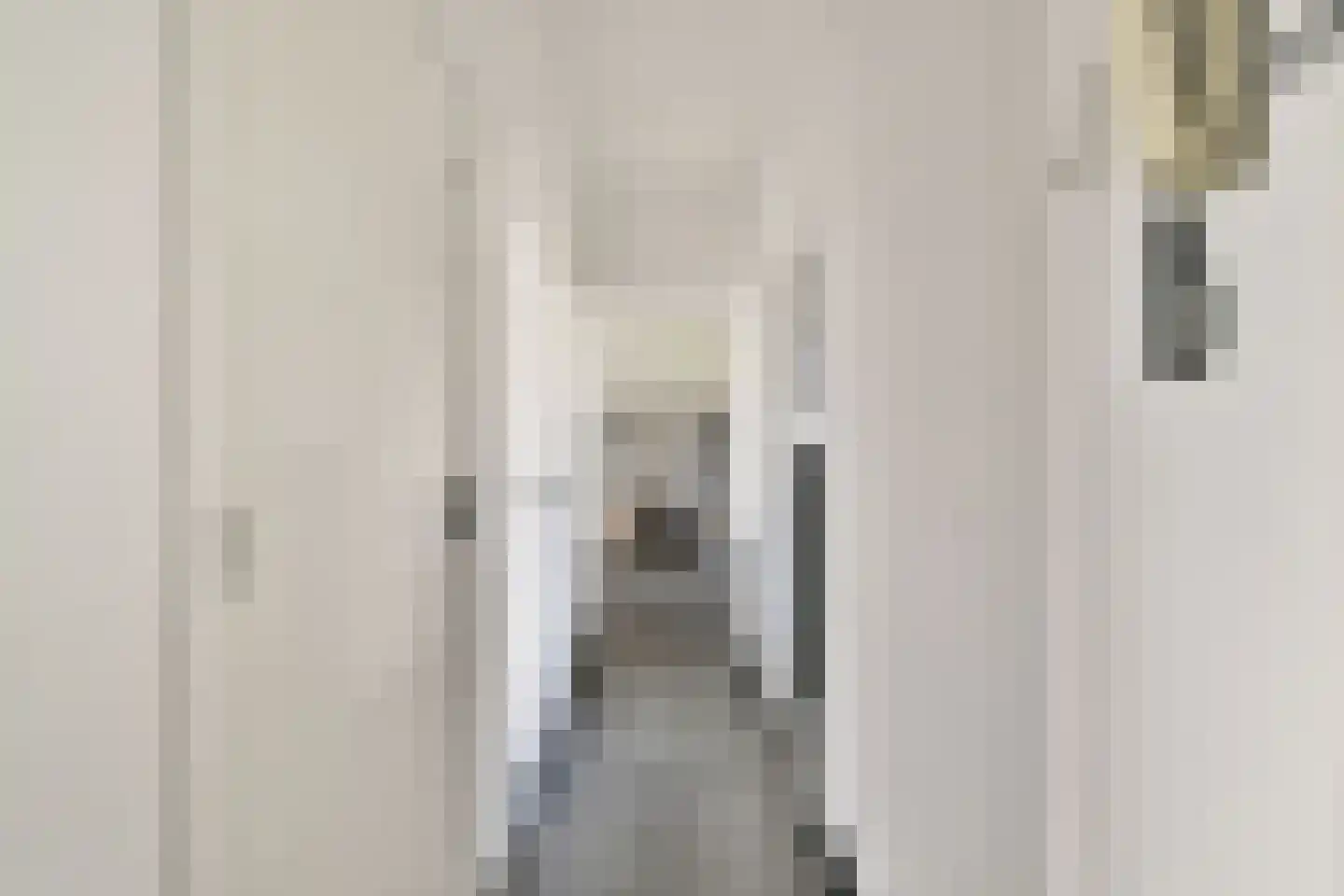 Steenvoorde 35 Rotterdam thumbnail 8