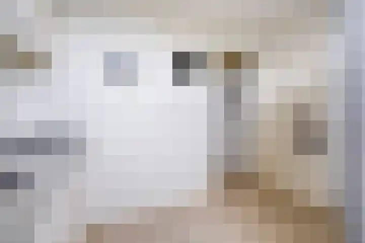 Steenvoordelaan 101 Rijswijk thumbnail 18