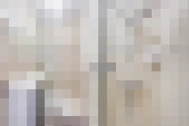 Steenvoordelaan 101 Rijswijk thumbnail 21