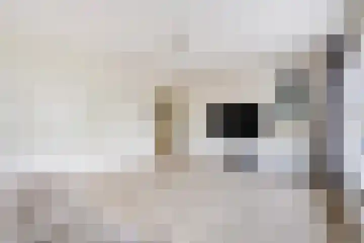 Steenvoordelaan 101 Rijswijk thumbnail 5