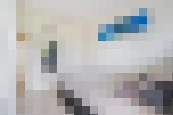 Steenvoordelaan 101 Rijswijk thumbnail 9
