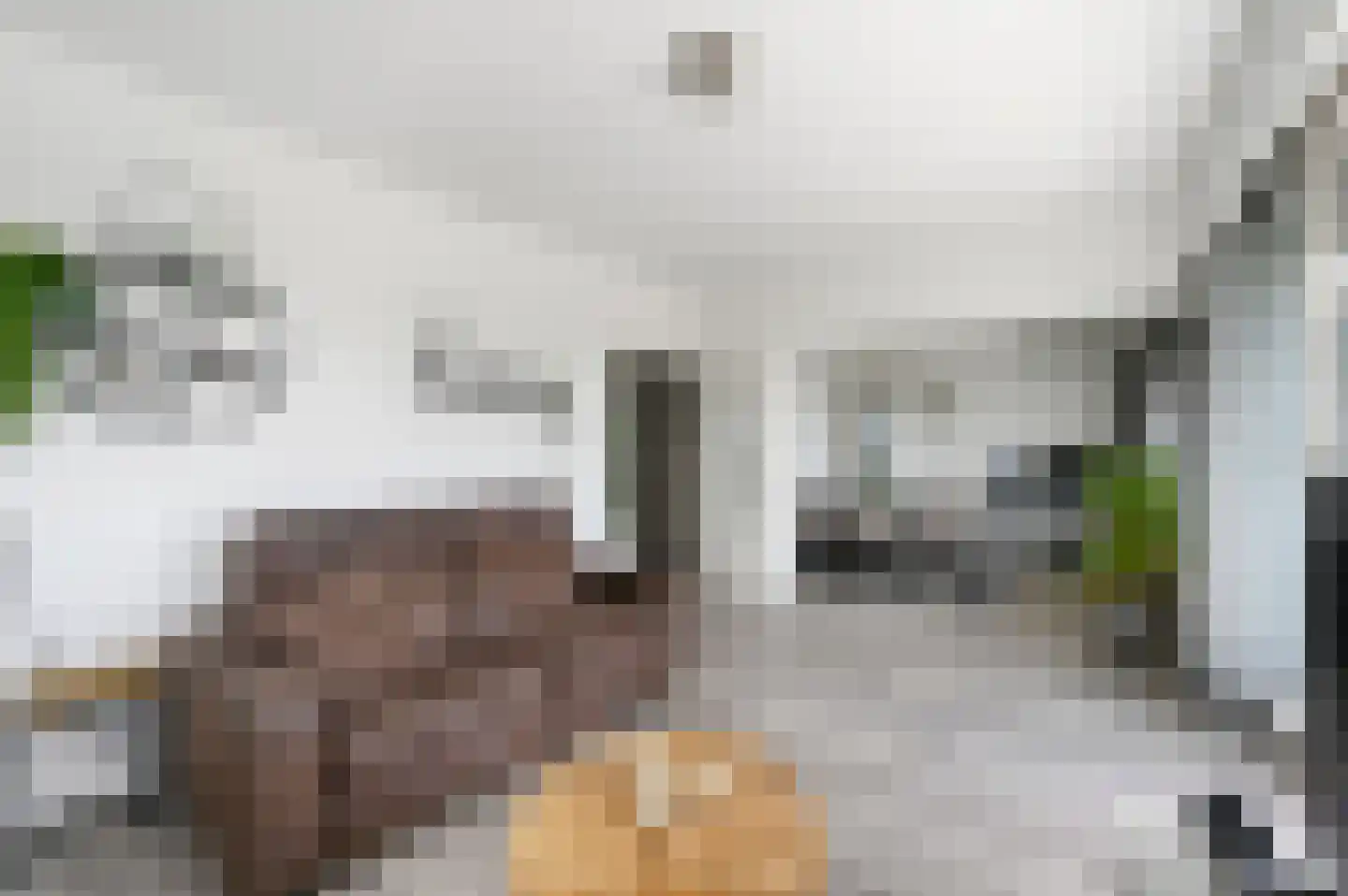 Steenvoordelaan 111 Rijswijk thumbnail 15