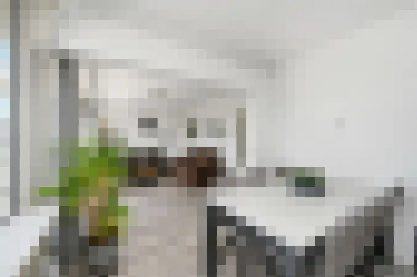 Steenvoordelaan 111 Rijswijk thumbnail 18
